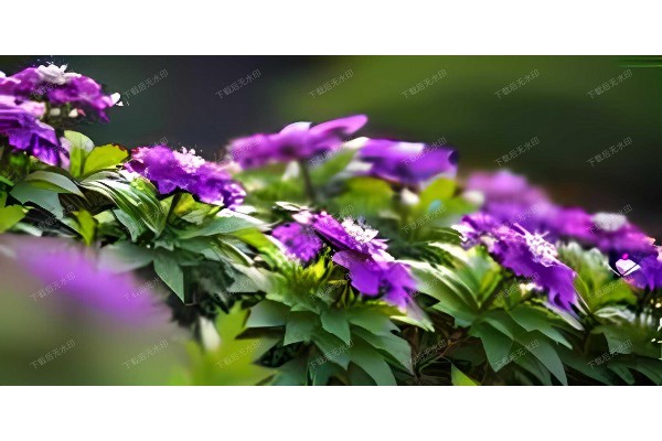 武汉淮海路品茗圣地,这家茶馆你不可不知! 武汉淮海路品茗圣地,这家茶馆你不可不知!